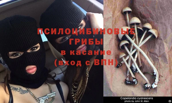 гашик Бугульма