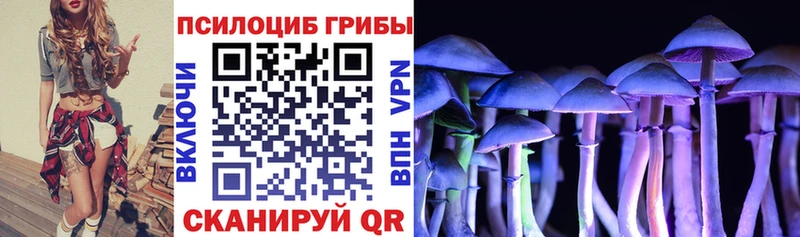 Псилоцибиновые грибы мицелий  где купить наркотик  Коркино 